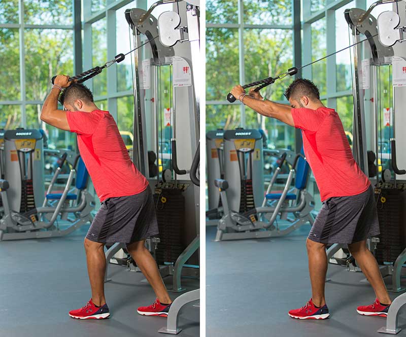 Triceps exercises demonstrating proper form for upper arm strength
